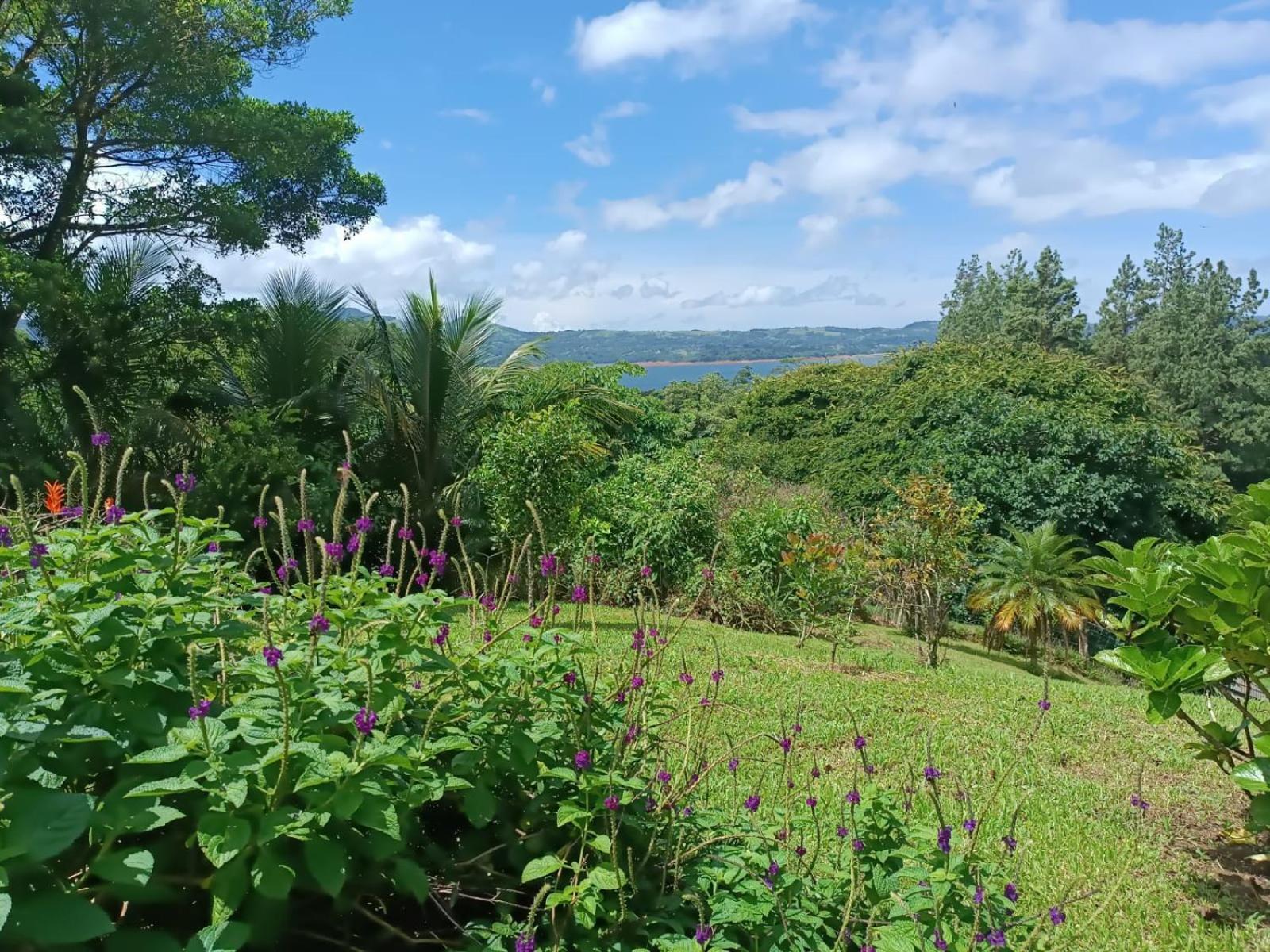 Lakegardens Arenal Condos Nuevo Arenal Bagian luar foto