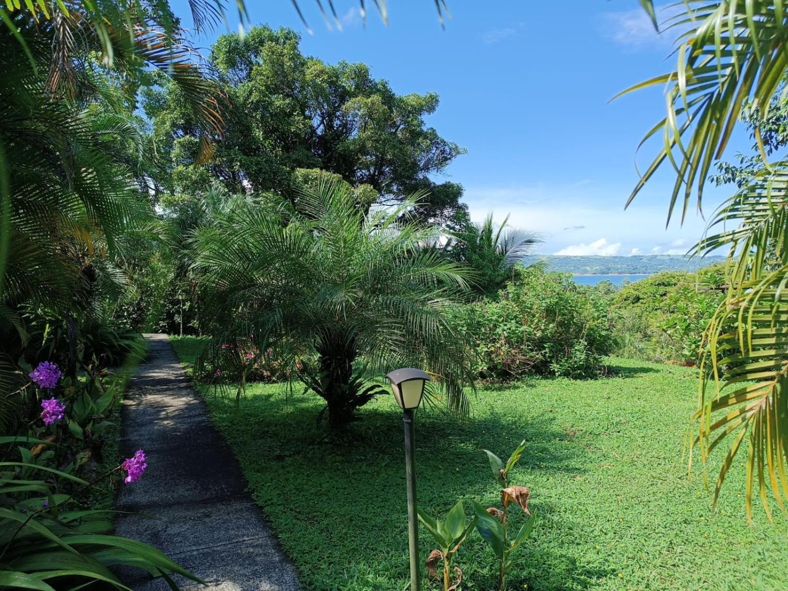 Lakegardens Arenal Condos Nuevo Arenal Bagian luar foto